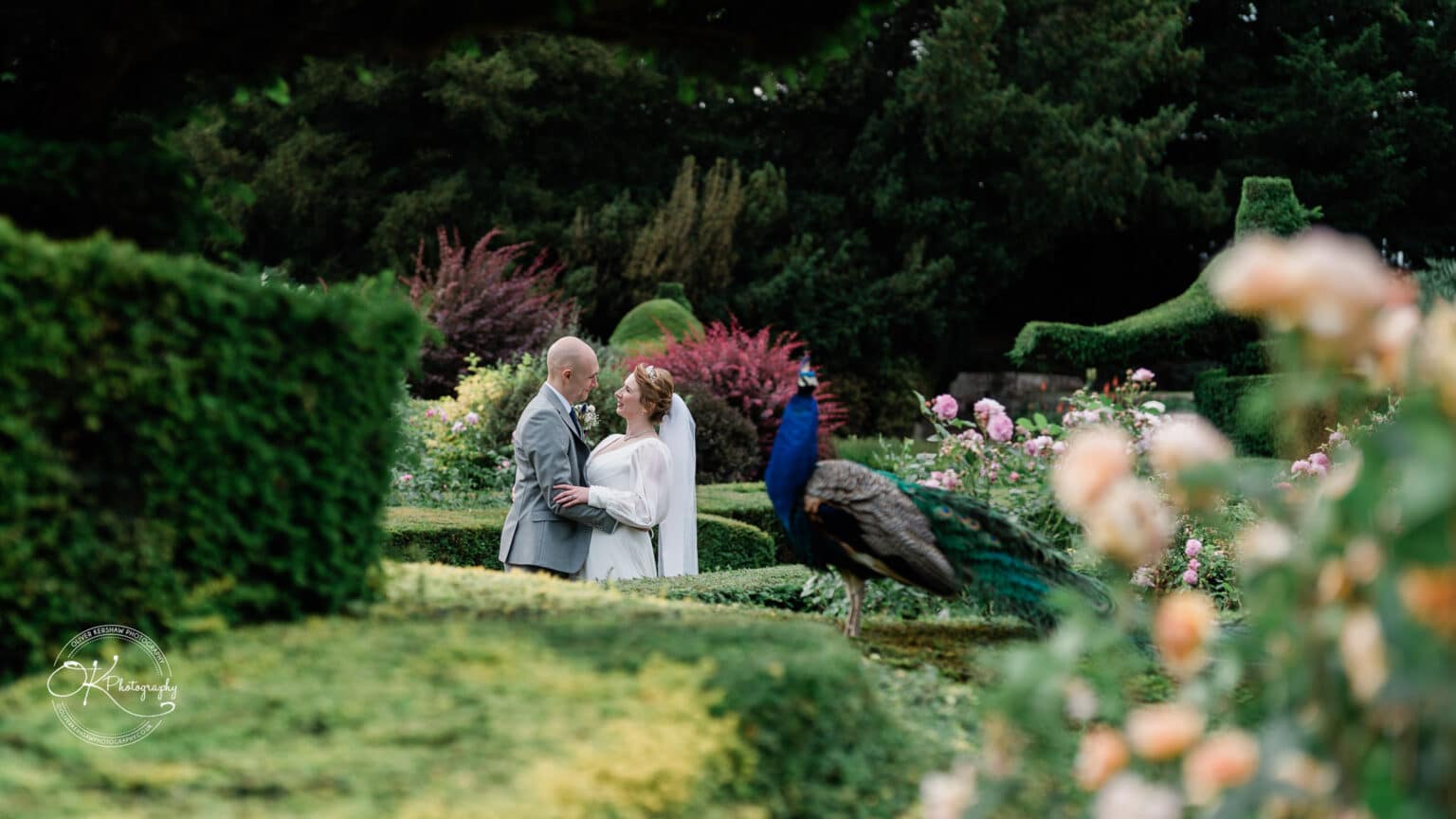 A bride and groom embrace in a lush garden with manicured hedges, blooming flowers, and a peacock at Warwick Castle.