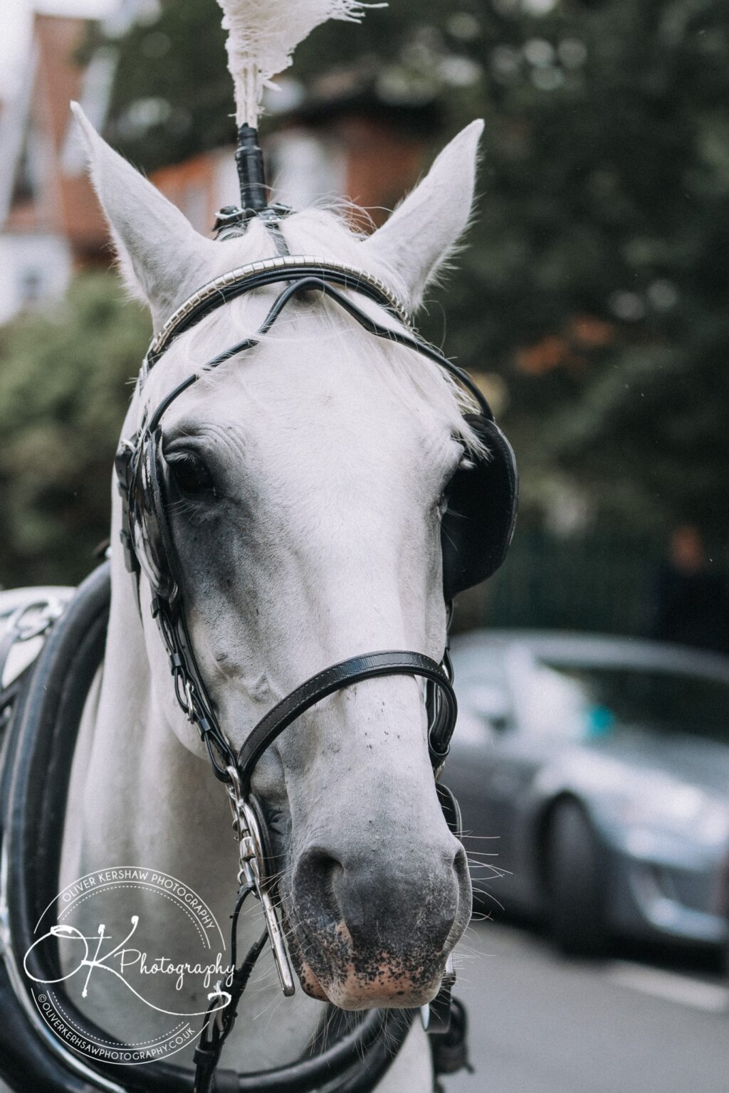 College Court Hotel wedding photography College Court Hotel wedding photography