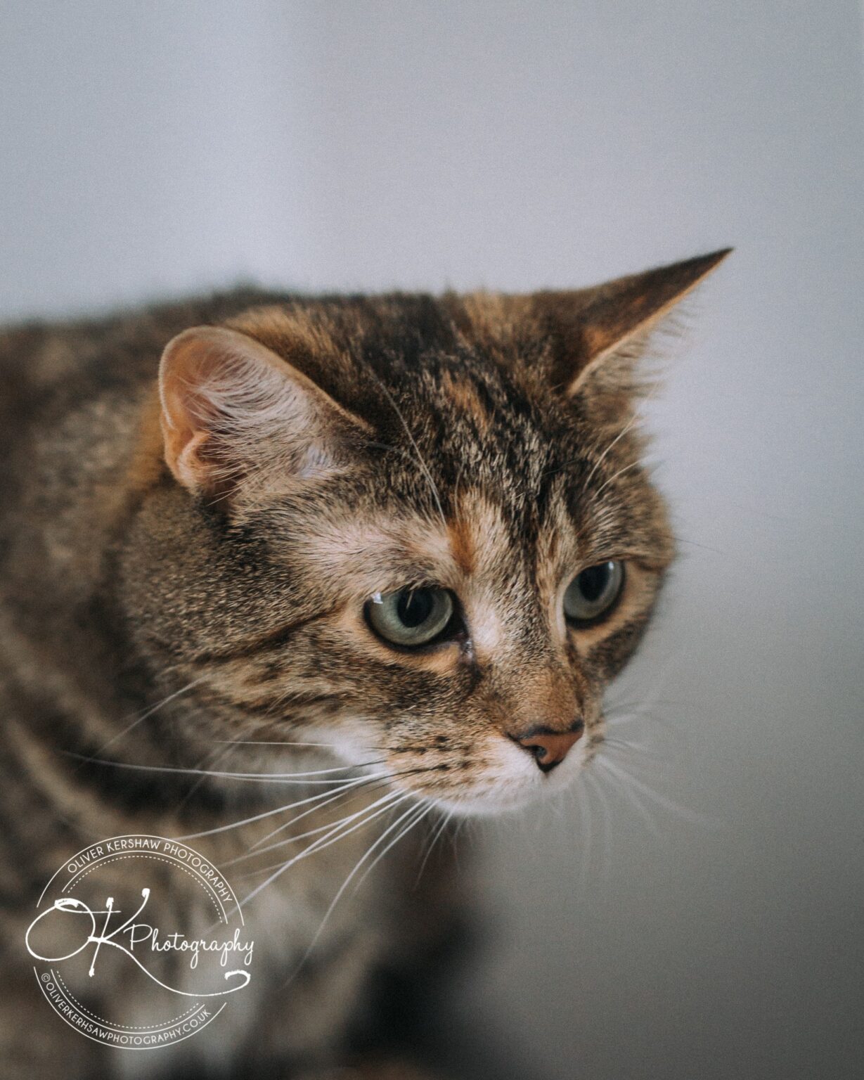 Leicester Wedding Photography