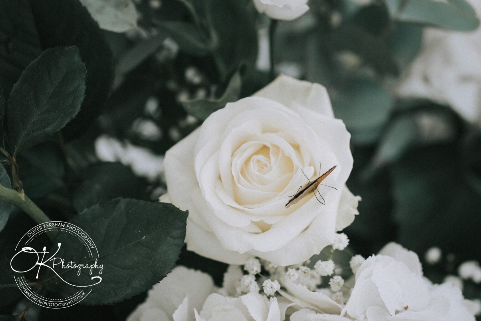 Quorn Country Hotel Wedding Photography