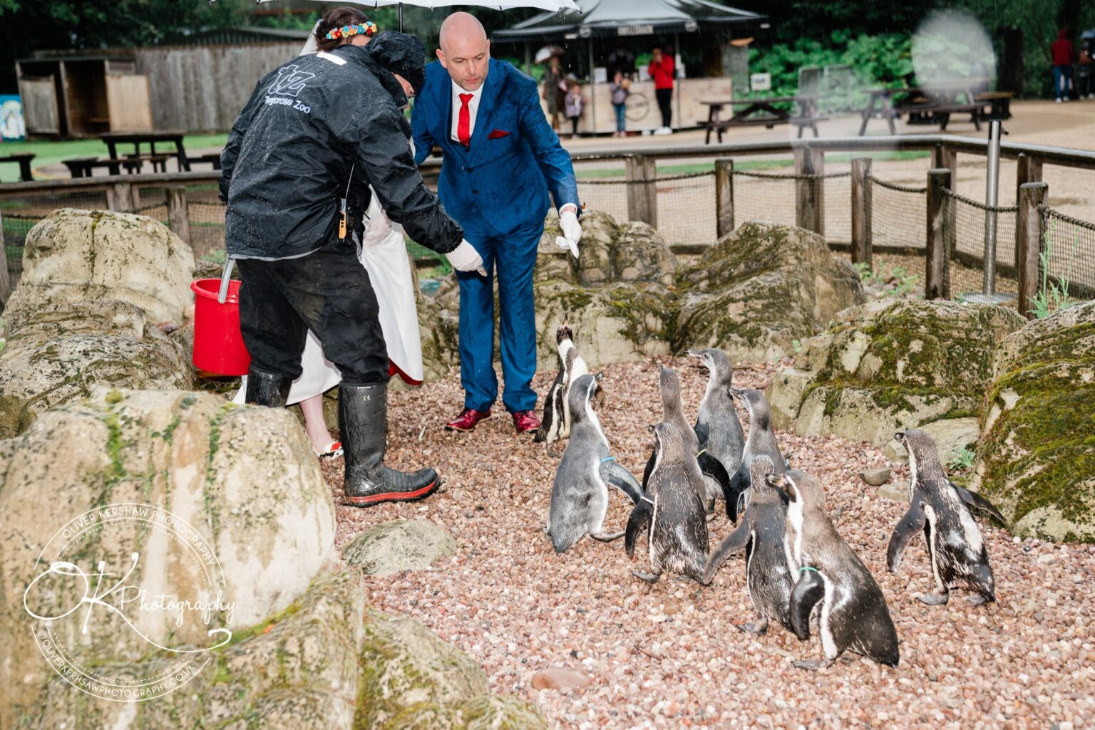 twycross zoo wedding photography twycross zoo wedding photography
