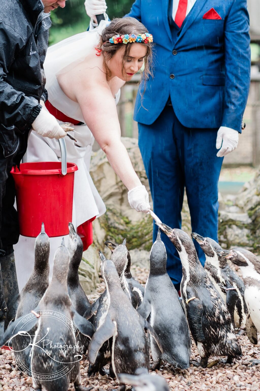 twycross zoo wedding photography twycross zoo wedding photography