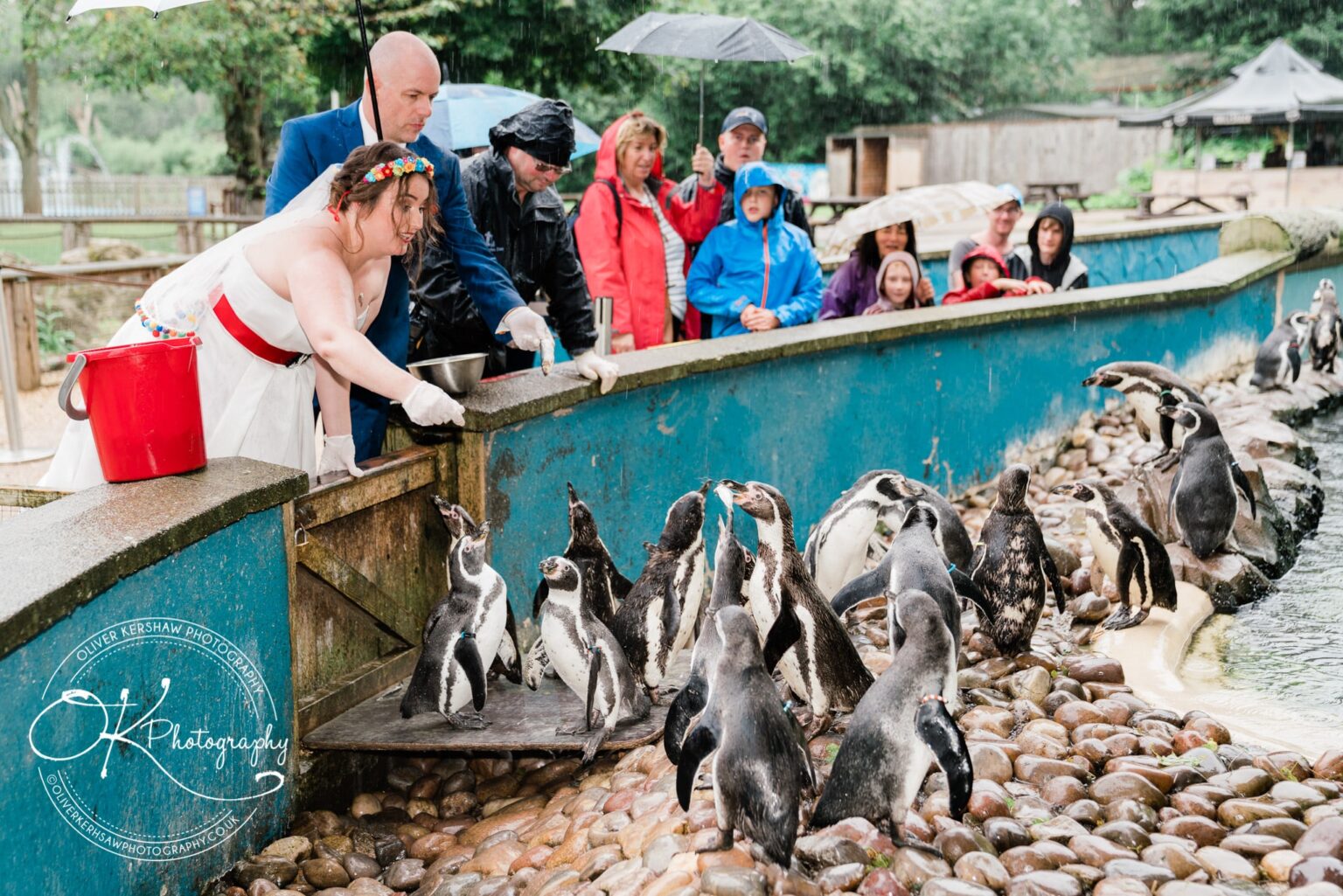 twycross zoo wedding photography twycross zoo wedding photography