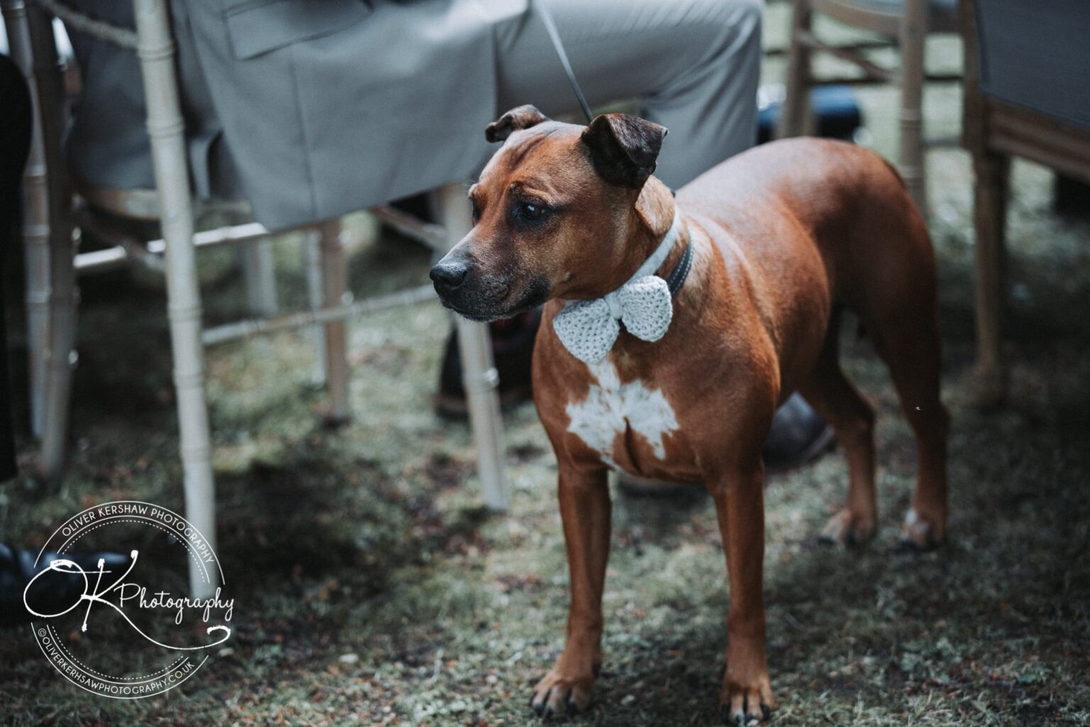 Irnham Hall Wedding Photography Irnham Hall Wedding Photography
