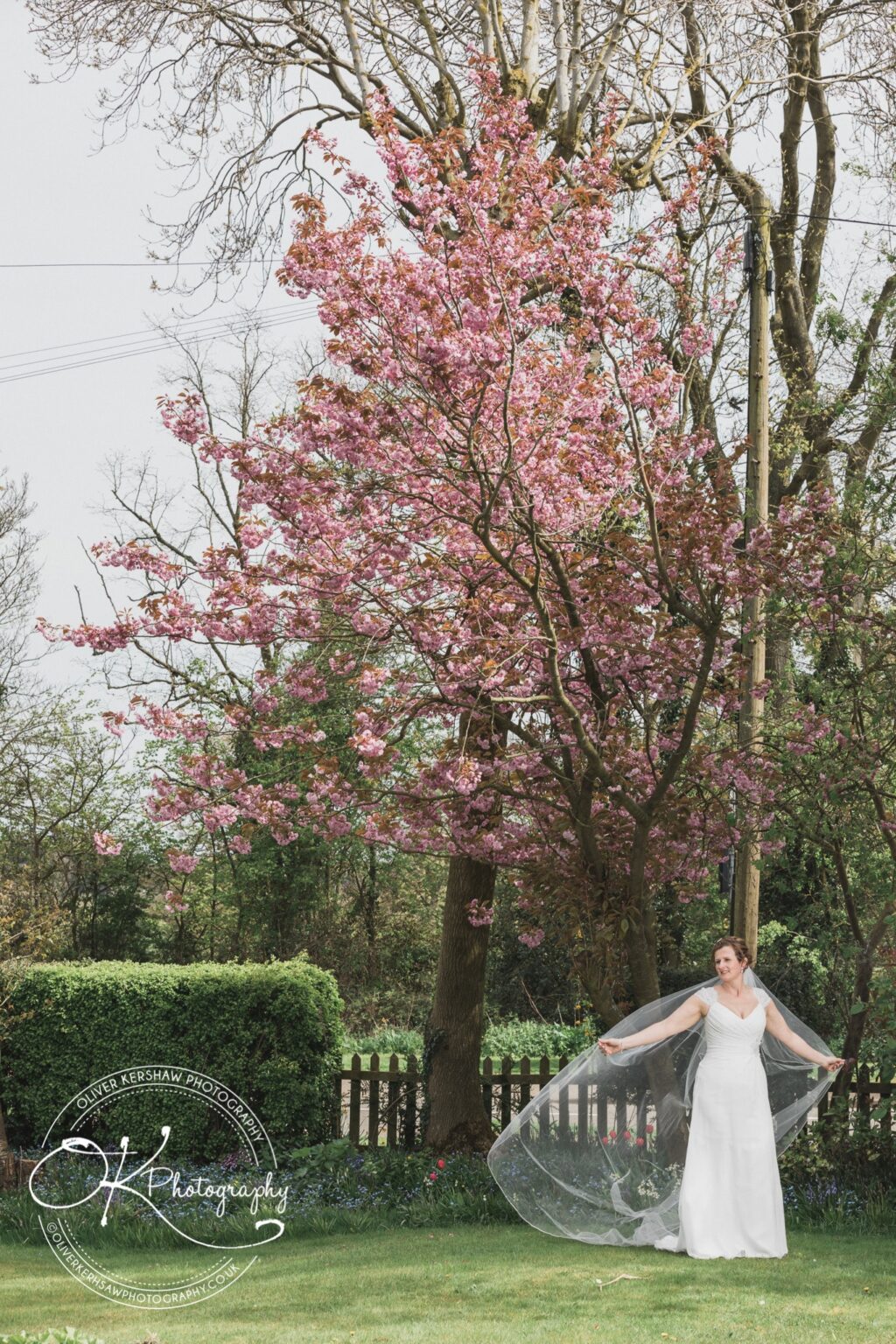Shearsby Bath Wedding photography Shearsby Bath Wedding photography