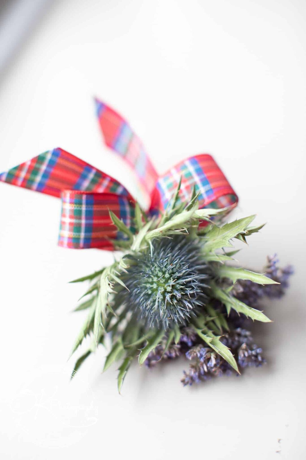 Sketchley Grange Wedding Photography Sketchley Grange Wedding Photography