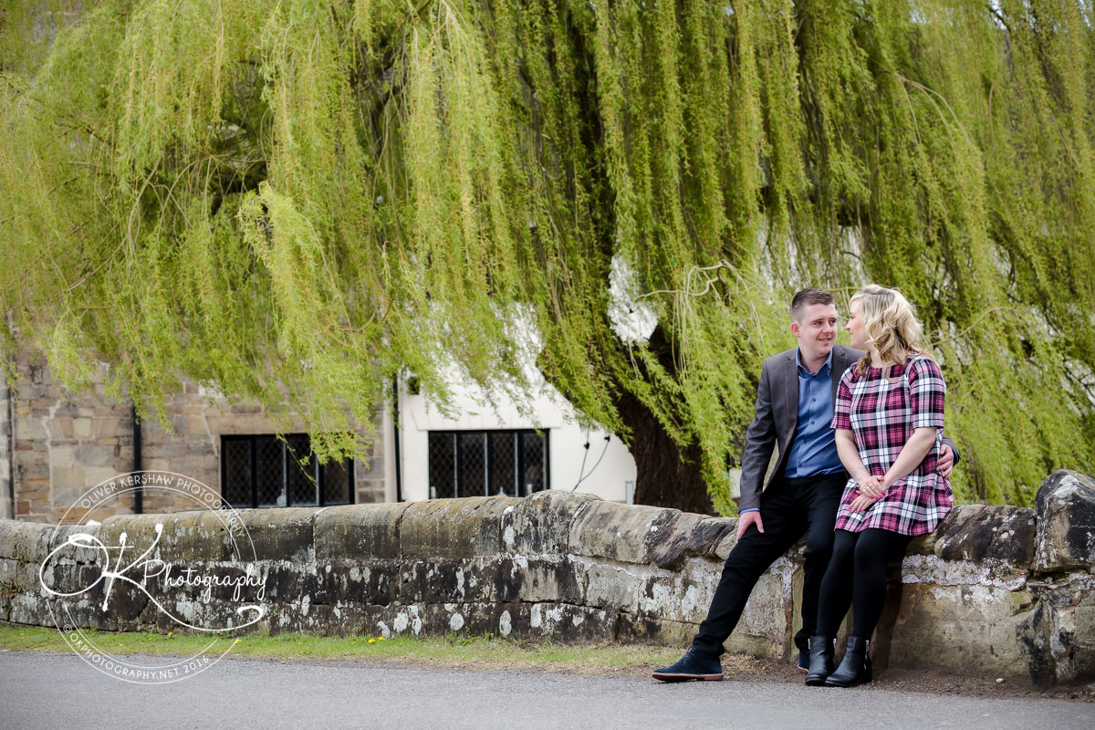 The willow tree The willow tree