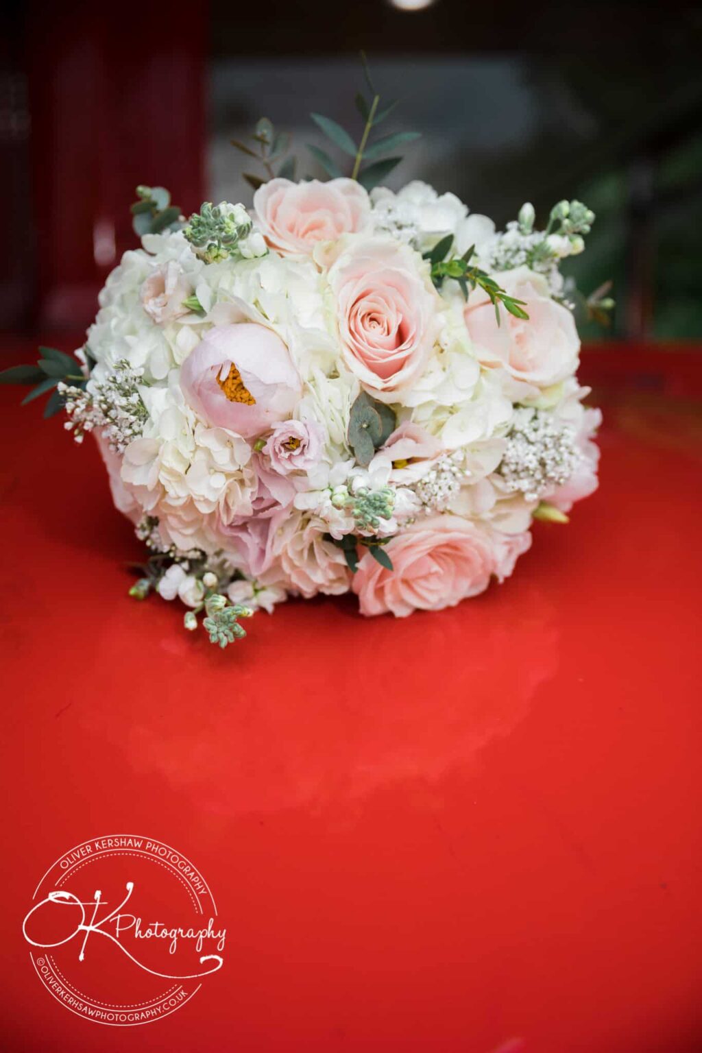 Twycross zoo Wedding photography