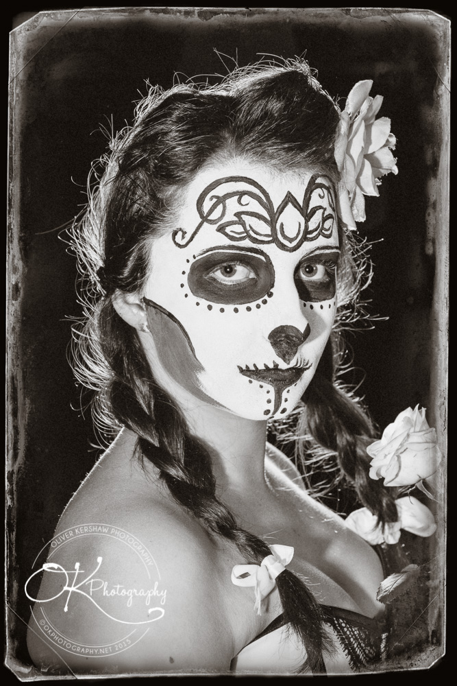 Old sugar skull Photo Old sugar skull Photo
