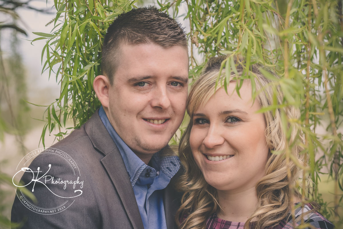 under the willow tree under the willow tree