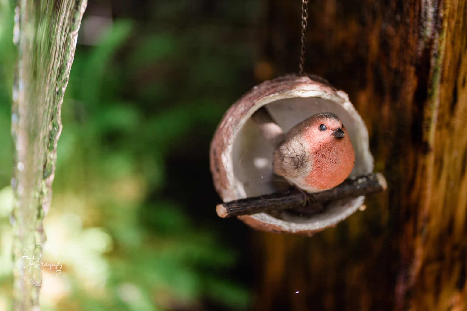The Old Stables Wedding Photography A small bird with a pinkish-red breast sits inside a hanging decorative half coconut shell.