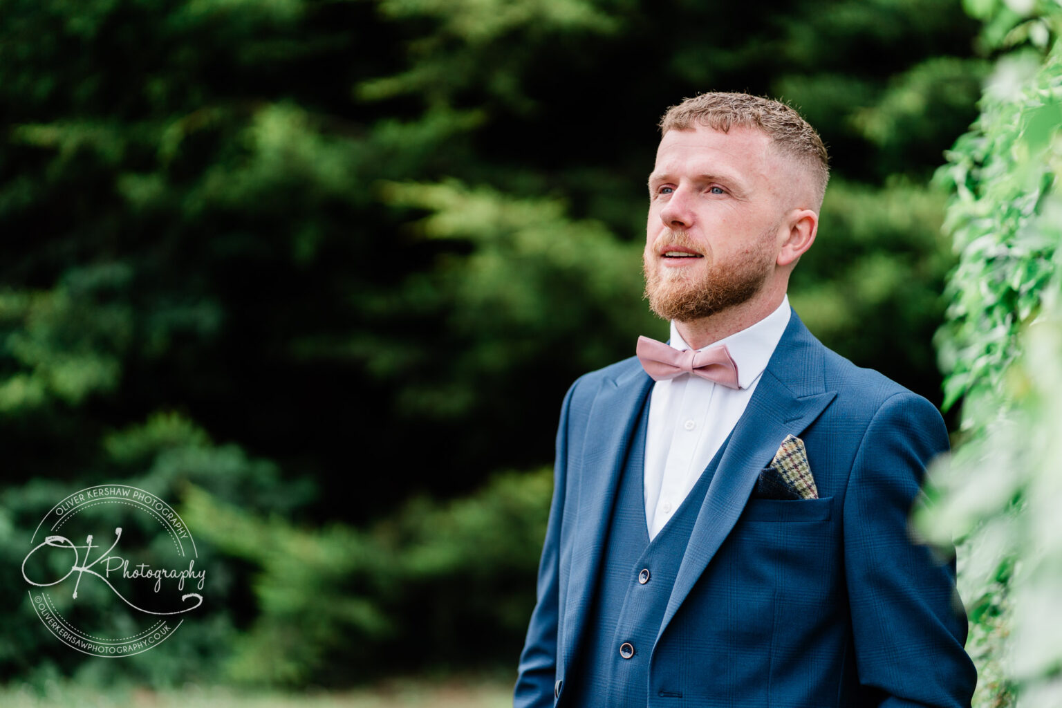 A man with a beard dressed in a blue suit and pink bow tie stands outdoors against a green, leafy background.