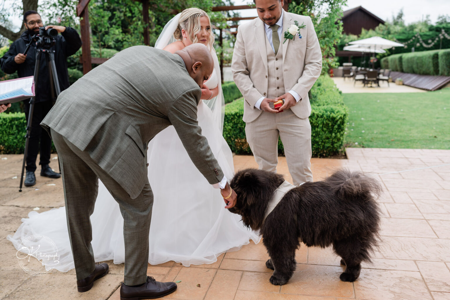 A groom and bride stand outdoors at a wedding ceremony, with the groom holding a ring box. A man in a suit is bending down to feed a large, fluffy dog that is wearing a harness. In the background, a person is filming the event.