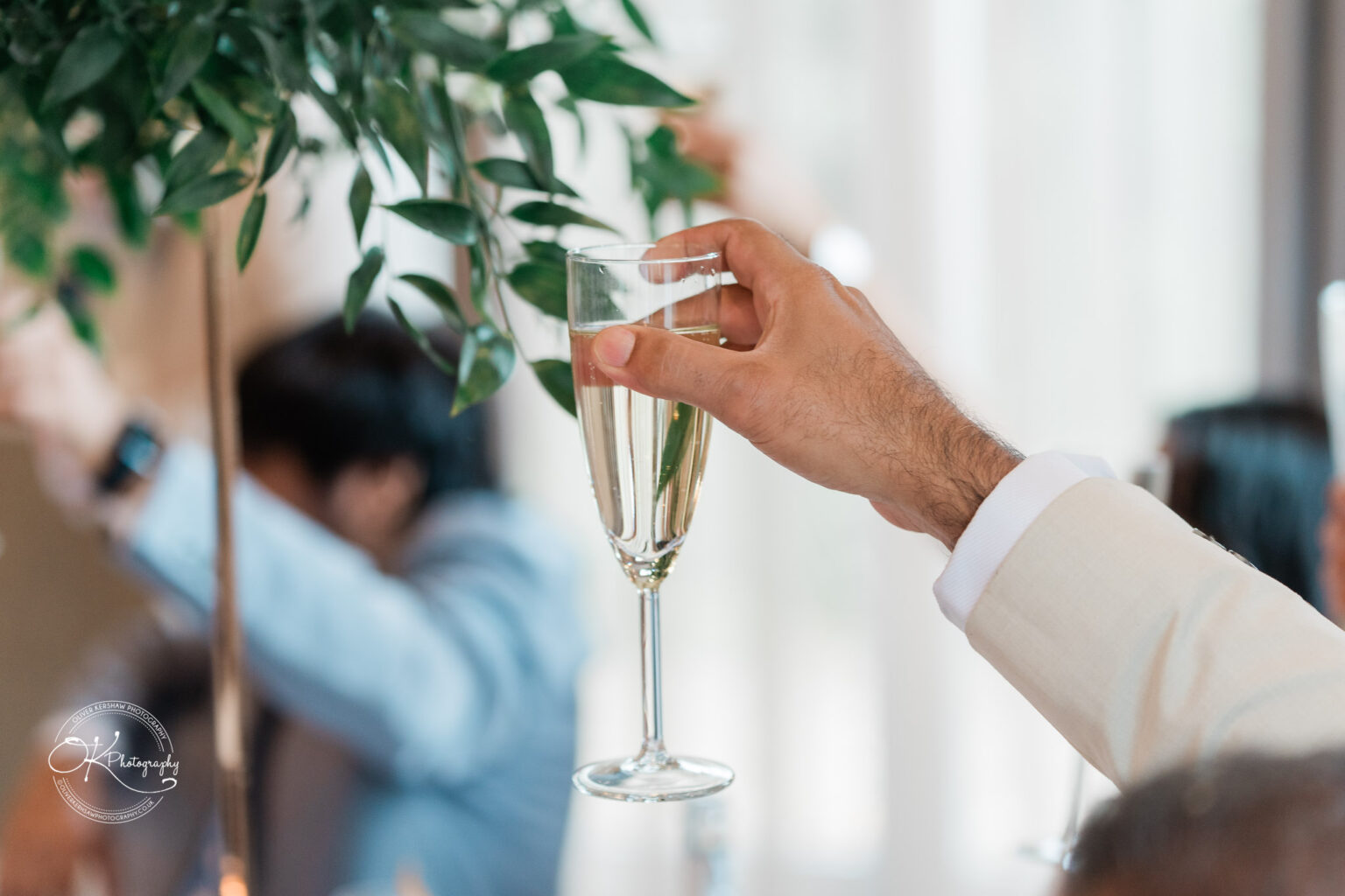 A hand holding a champagne flute, raised in a toast, with a blurred background of people and greenery.