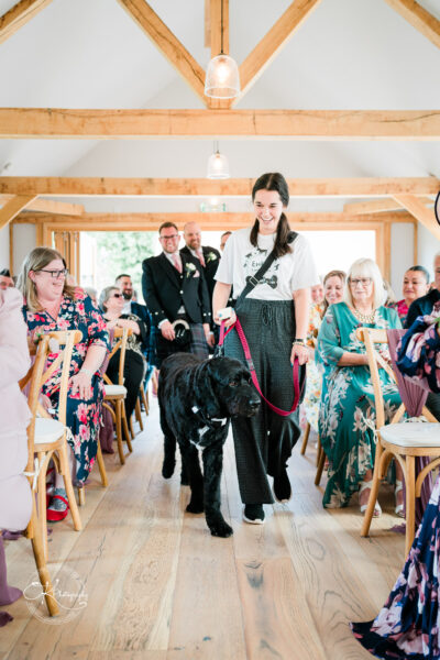Dog Wedding Chaperone by Emily’s Canine Crew Dog Wedding Chaperone by Emily’s Canine Crew