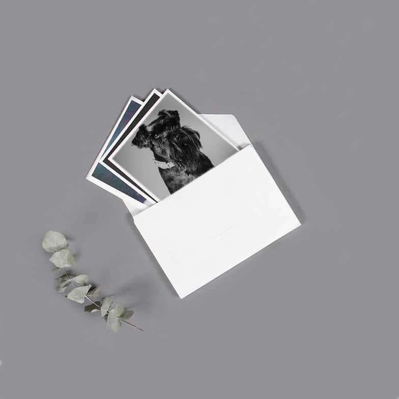 Large Photo Print